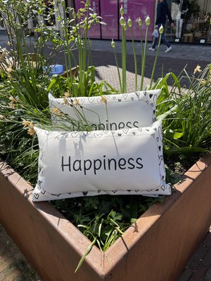 Tuinkussens Happiness